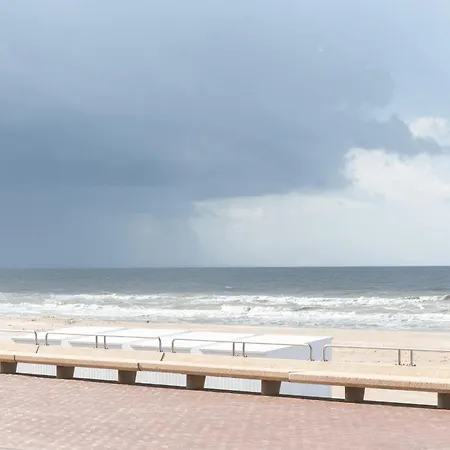 Art - With Seaview In 데한