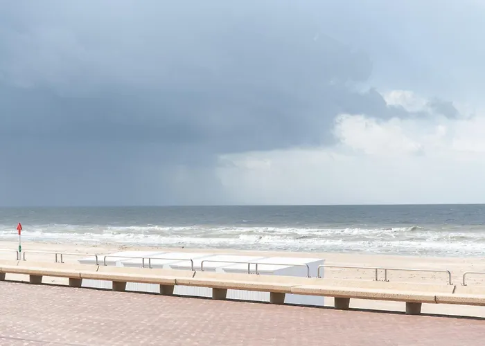 Art - With Seaview In Le Coq